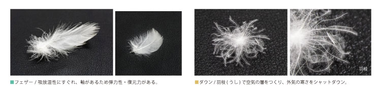 ダウンパワー