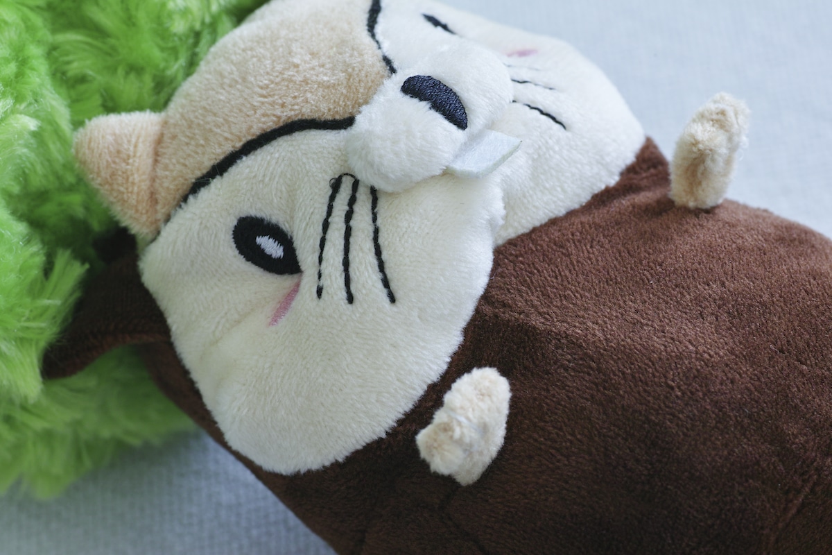 Nuts-kun from Momonoko Island Plush Toy