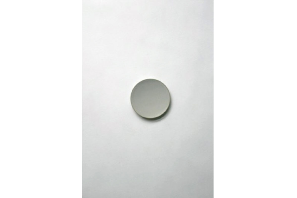 SyuRo |  炻器 plate グレー SS